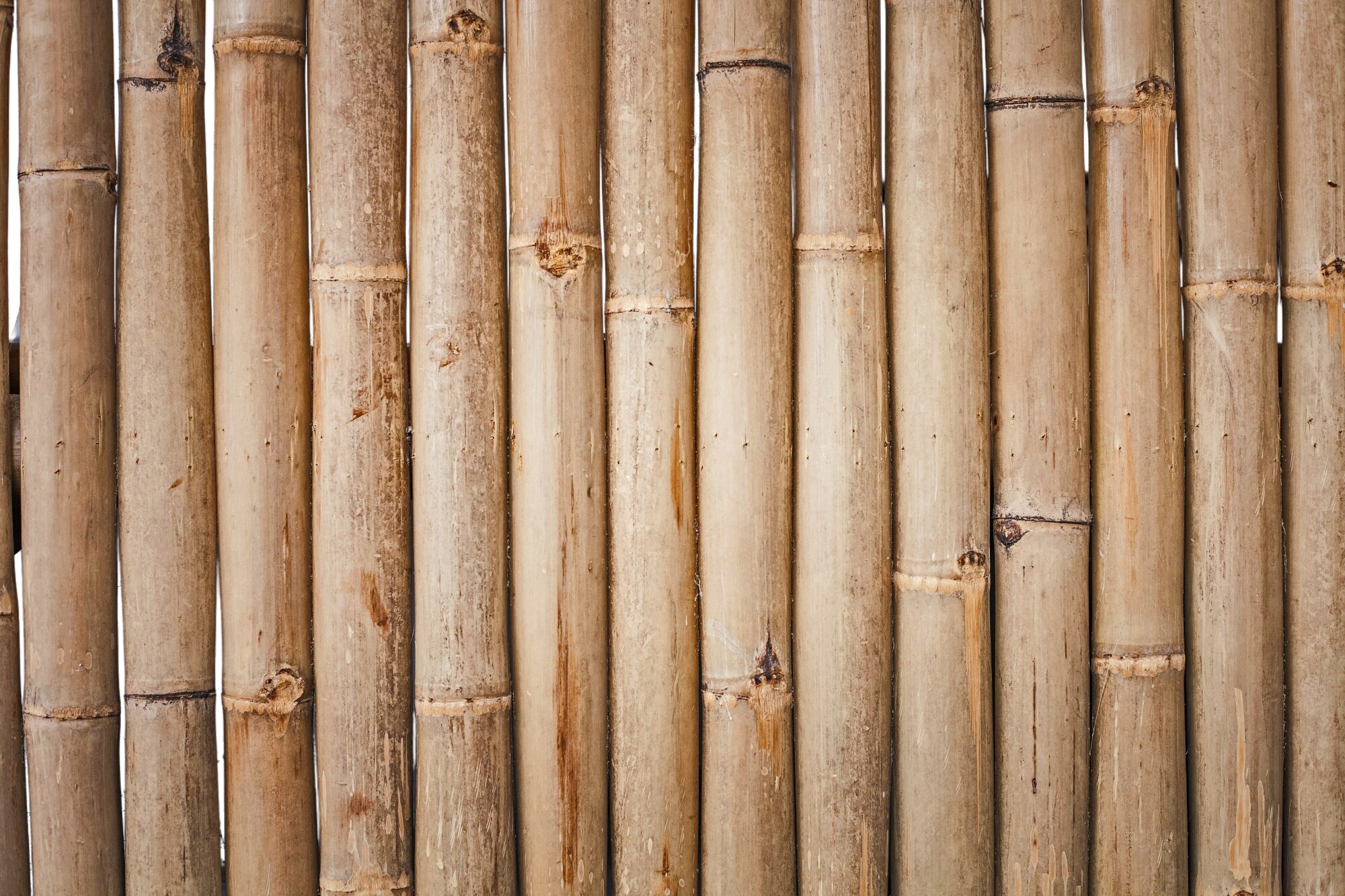 Divider